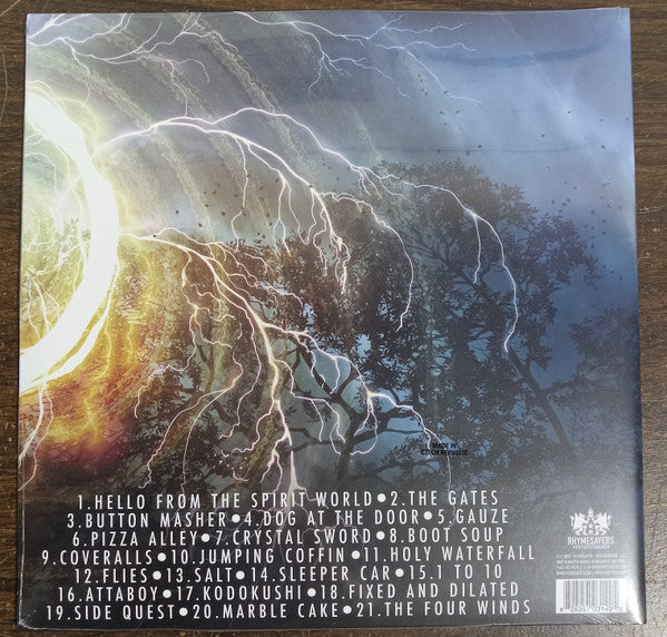 Spirit World Field Guide Instrumentals (GREEN + BLUE VINYL) | Mint (M) Mint (M) Get Cheap Vinyl