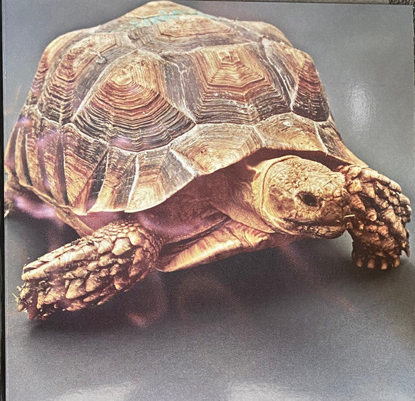 Warm Chris | Mint (M) Mint (M) Get Cheap Vinyl