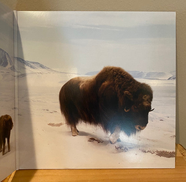 Our Love To Admire | Mint (M) Mint (M) Get Cheap Vinyl
