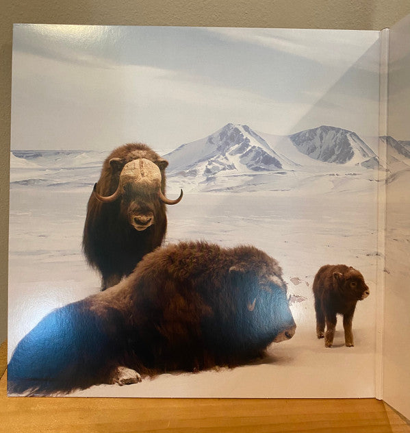 Our Love To Admire | Mint (M) Mint (M) Get Cheap Vinyl