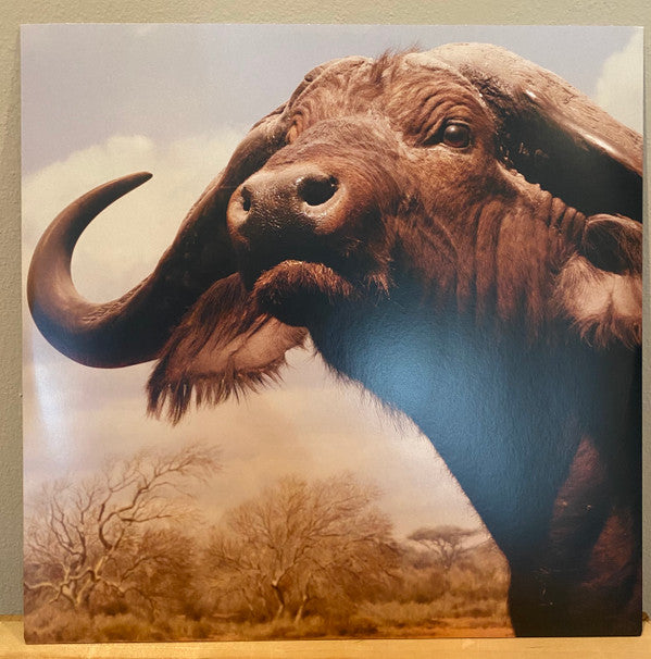 Our Love To Admire | Mint (M) Mint (M) Get Cheap Vinyl