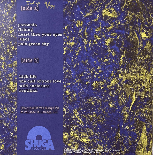 Dream Noise (INDIGO) | Mint (M) Mint (M) Get Cheap Vinyl
