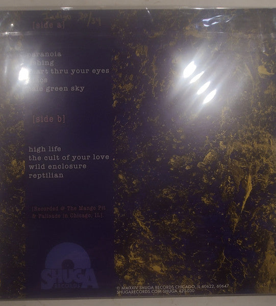 Dream Noise (INDIGO) | Mint (M) Mint (M) Get Cheap Vinyl