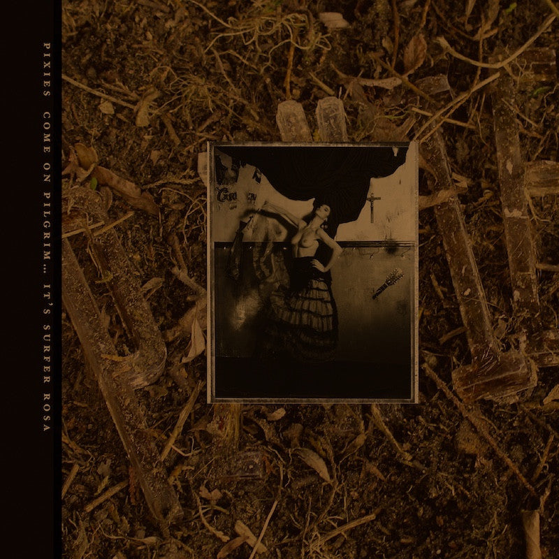 Come On Pilgrim... It's Surfer Rosa: 30th Anniversary (GOLD VINYL) | Mint (M) Mint (M) Get Cheap Vinyl