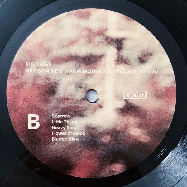 Dragon New Warm Mountain I Believe In You | Mint (M) Mint (M) Get Cheap Vinyl