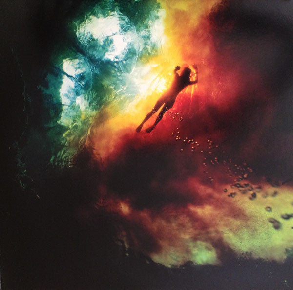 Merriweather Post Pavilion | Mint (M) Mint (M) Get Cheap Vinyl