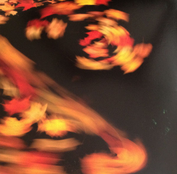 Merriweather Post Pavilion | Mint (M) Mint (M) Get Cheap Vinyl