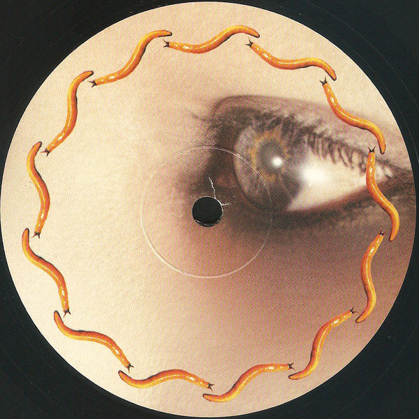 Thirteenth Step | Mint (M) Mint (M) Get Cheap Vinyl