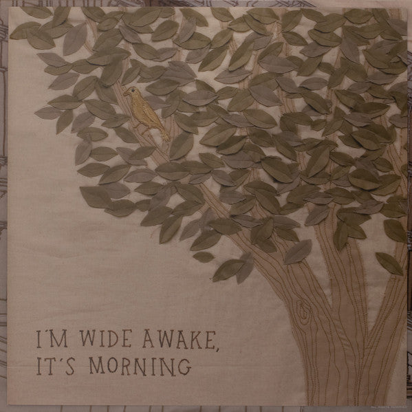 I'm Wide Awake, It's Morning | Mint (M) Mint (M) Get Cheap Vinyl
