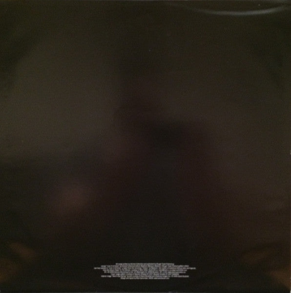 Merriweather Post Pavilion | Mint (M) Mint (M) Get Cheap Vinyl