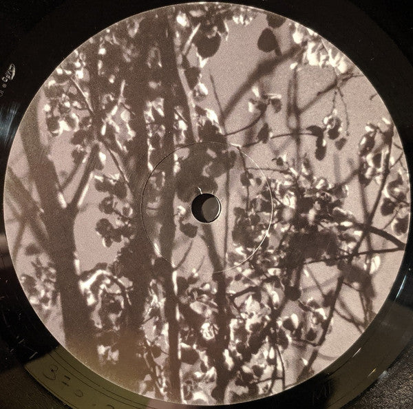 Königsforst | Mint (M) Mint (M) Get Cheap Vinyl