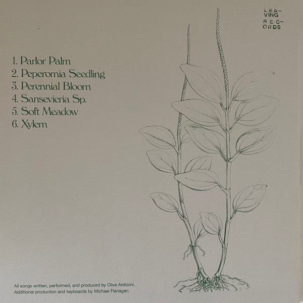 Six Songs For Invisible Gardens | Mint (M) Mint (M) Get Cheap Vinyl