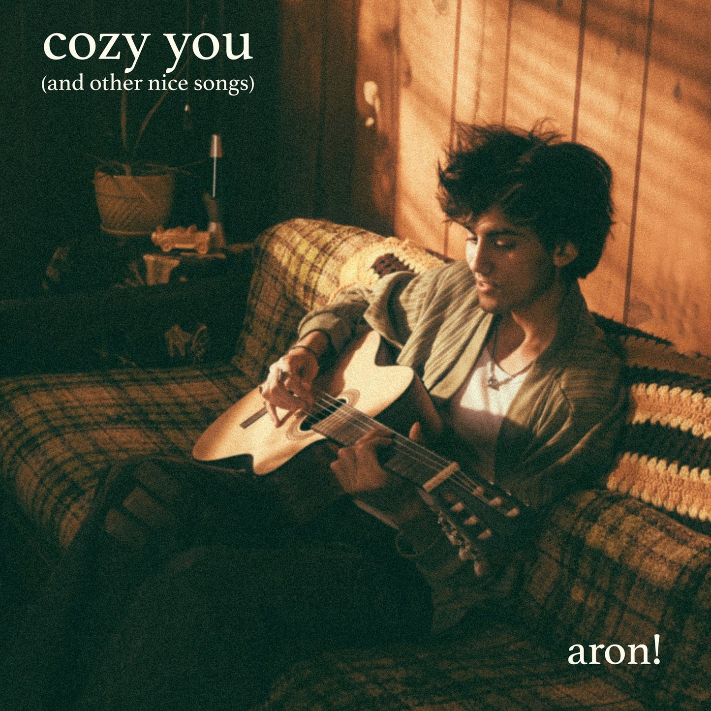 Cozy You (And Other Nice Songs) | Get Cheap Vinyl