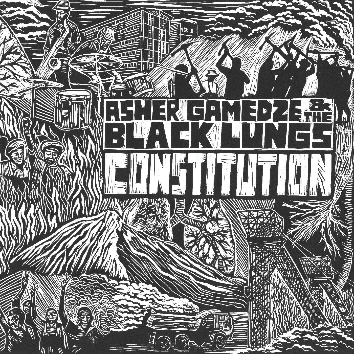 Constitution | Get Cheap Vinyl