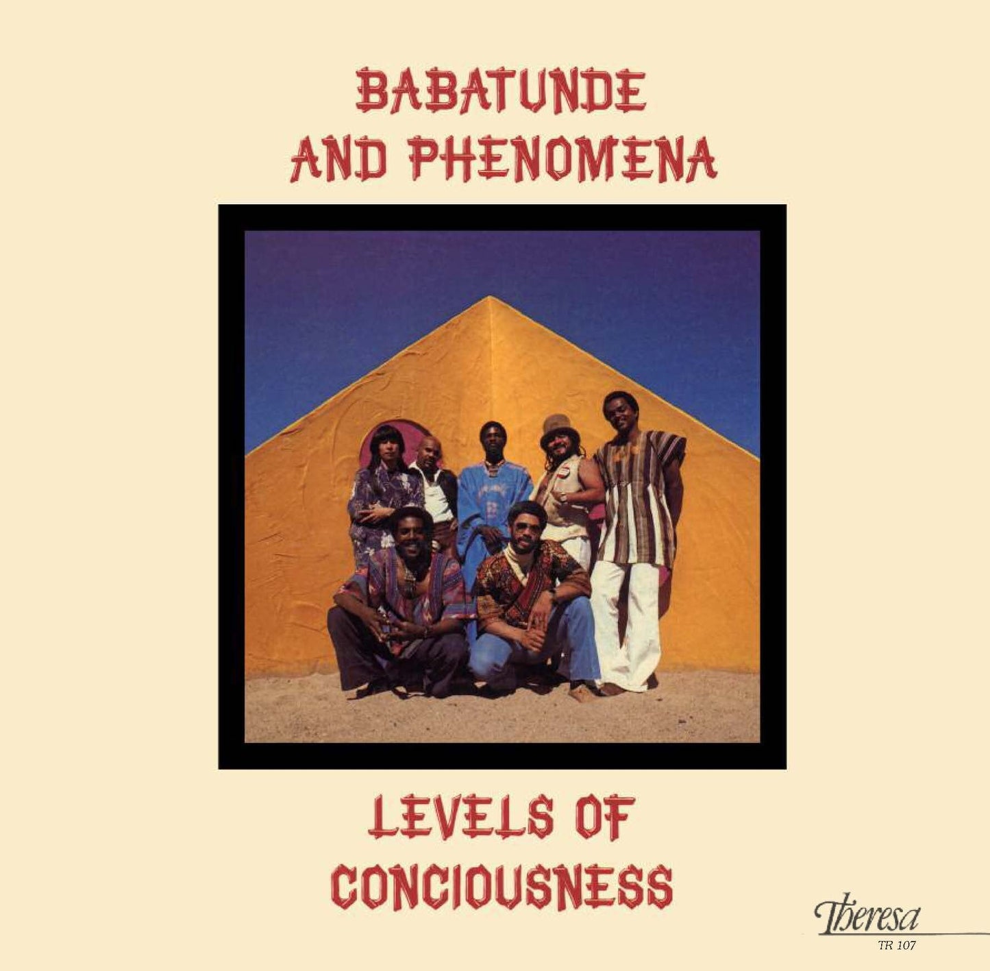 Levels Of Consciousness | Get Cheap Vinyl