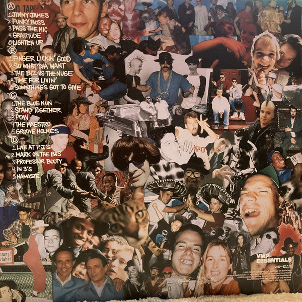Check Your Head | Mint (M) Mint (M) Get Cheap Vinyl