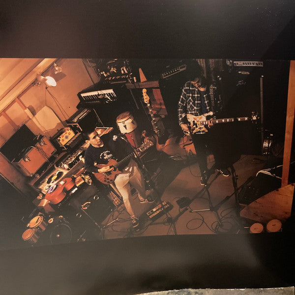 Check Your Head | Mint (M) Mint (M) Get Cheap Vinyl