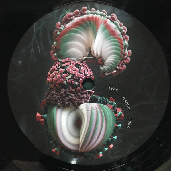 Fossora | Mint (M) Mint (M) Get Cheap Vinyl