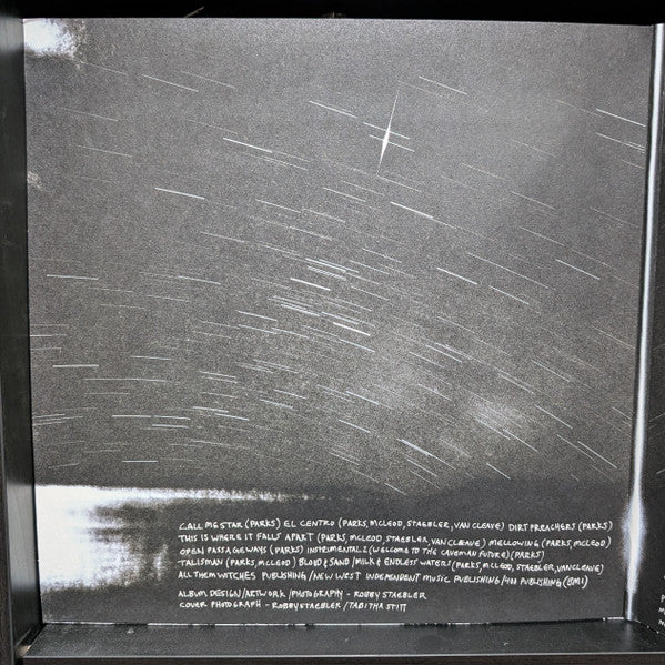Dying Surfer Meets His Maker (COLOR VINYL) | Mint (M) Mint (M) Get Cheap Vinyl
