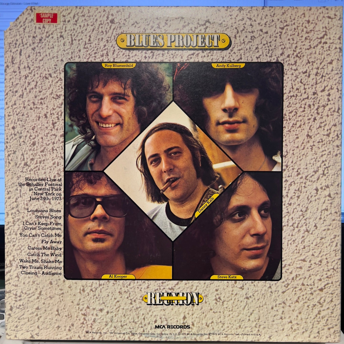 Reunion In Central Park | Near Mint (NM) Near Mint (NM) Get Cheap Vinyl