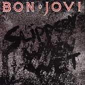 Slippery When Wet (Remastered) (CD) | Mint (M) Mint (M) Get Cheap Vinyl