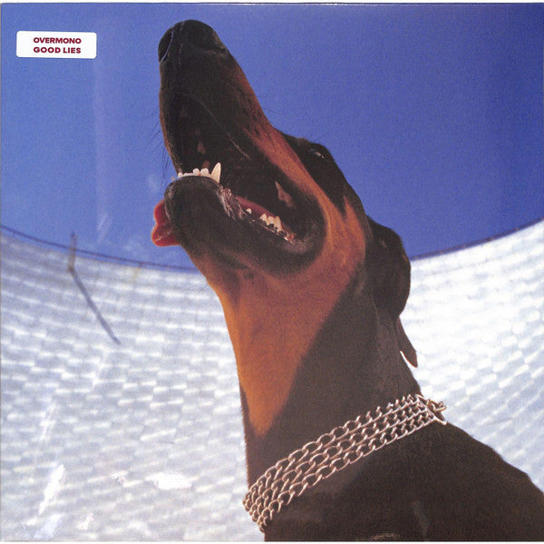 Good Lies | Mint (M) Mint (M) Get Cheap Vinyl