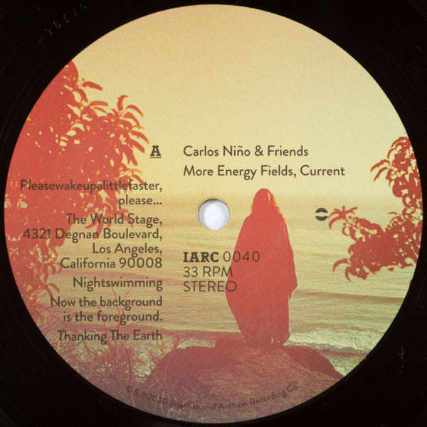 More Energy Fields, Current | Mint (M) Mint (M) Get Cheap Vinyl