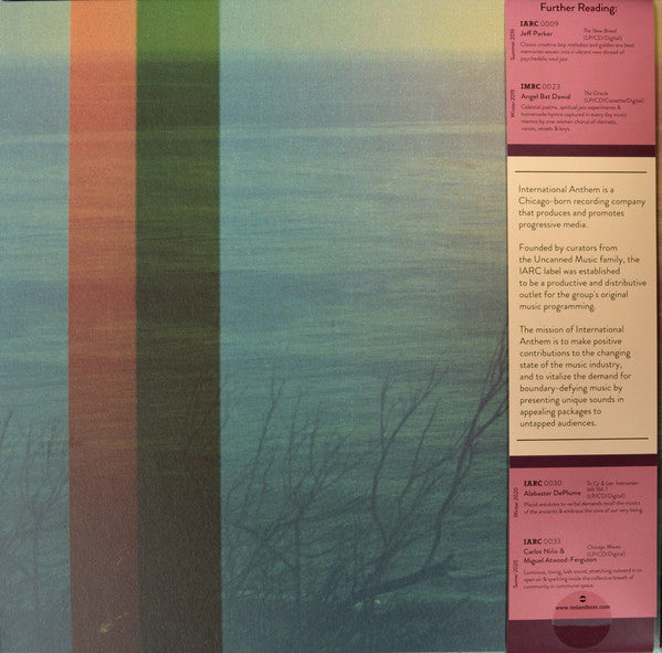 More Energy Fields, Current | Mint (M) Mint (M) Get Cheap Vinyl