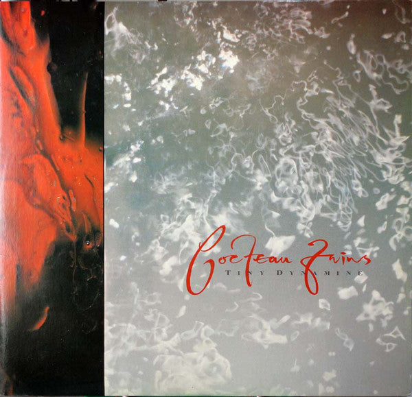 Tiny Dynamine / Echoes In A Shallow Bay | Mint (M) Mint (M) Get Cheap Vinyl
