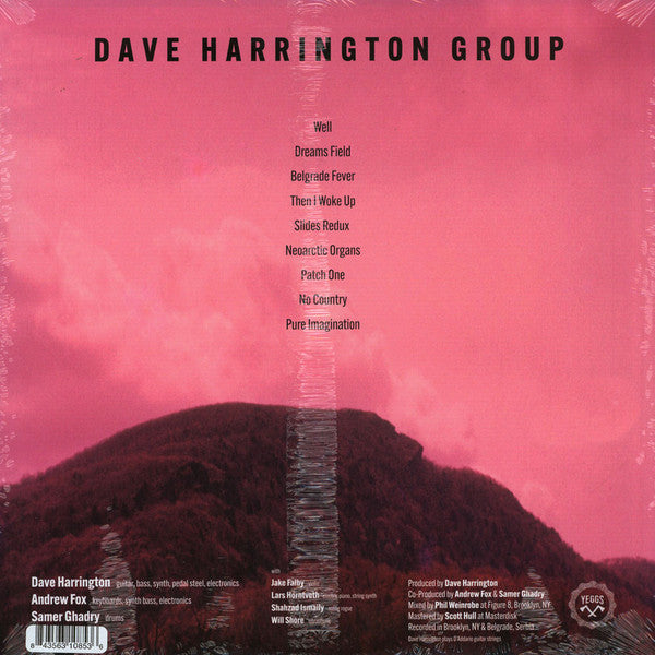 Pure Imagination, No Country | Mint (M) Mint (M) Get Cheap Vinyl