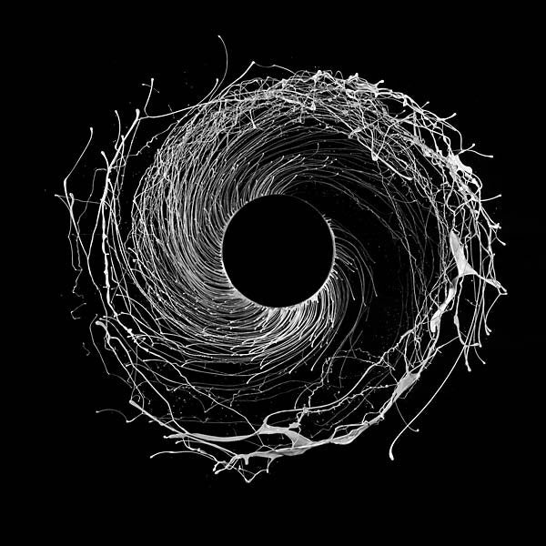 Dysnomia | Mint (M) Mint (M) Get Cheap Vinyl