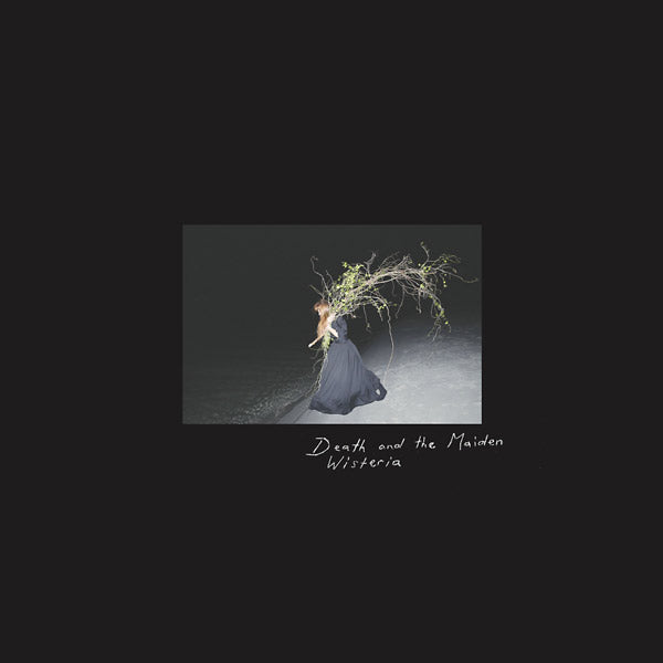 Wisteria | Get Cheap Vinyl