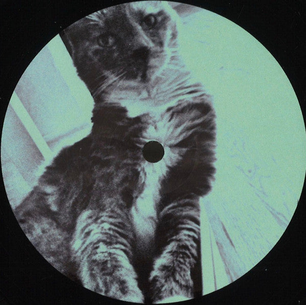 Untitled (VINYL) | Mint (M) Generic Get Cheap Vinyl