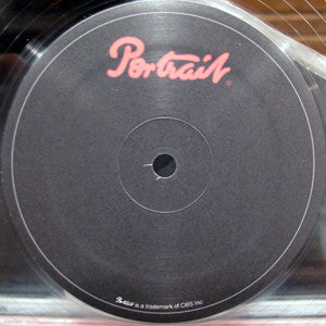 The Safest Place (NYC Dance Remix) | Mint (M) Generic Get Cheap Vinyl