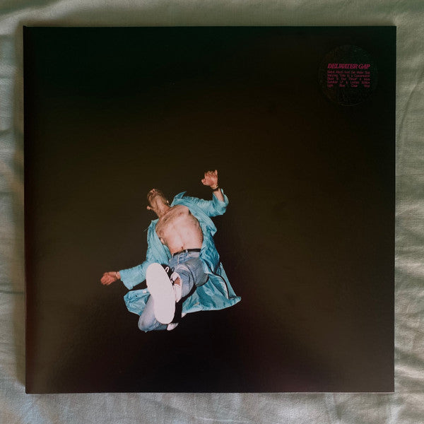 Del Water Gap | Mint (M) Mint (M) Get Cheap Vinyl