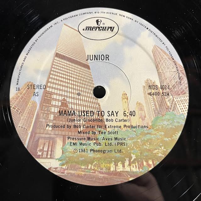Mama Used To Say (VINYL) | Excellent (EX) Very Good Plus (VG+) Get Cheap Vinyl