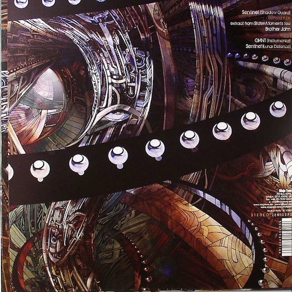 The Shape Of Things That Hum | Mint (M) Mint (M) Get Cheap Vinyl