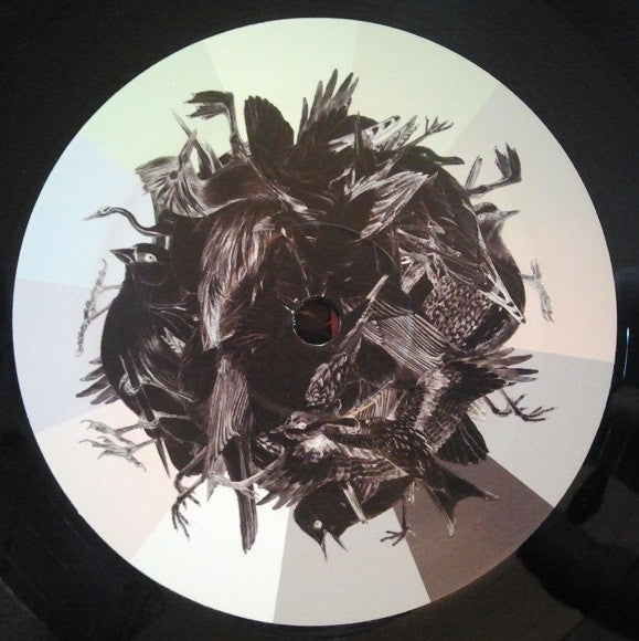 Avichrom | Mint (M) Mint (M) Get Cheap Vinyl