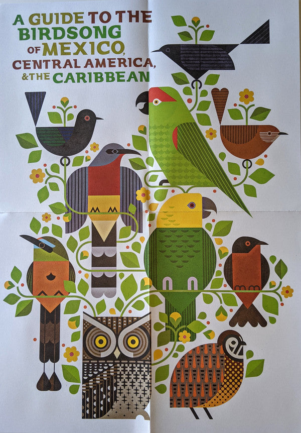 A Guide To The Birdsong Of Mexico, Central America, & The Caribbean | Mint (M) Mint (M) Get Cheap Vinyl