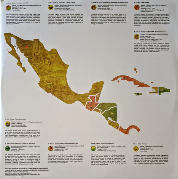 A Guide To The Birdsong Of Mexico, Central America, & The Caribbean | Mint (M) Mint (M) Get Cheap Vinyl