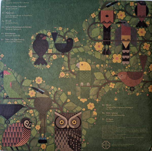 A Guide To The Birdsong Of Mexico, Central America, & The Caribbean | Mint (M) Mint (M) Get Cheap Vinyl