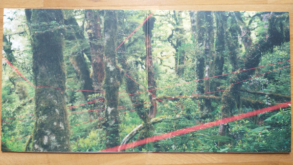 Everything Ecstatic (Etched) | Excellent (EX) Mint (M) Get Cheap Vinyl