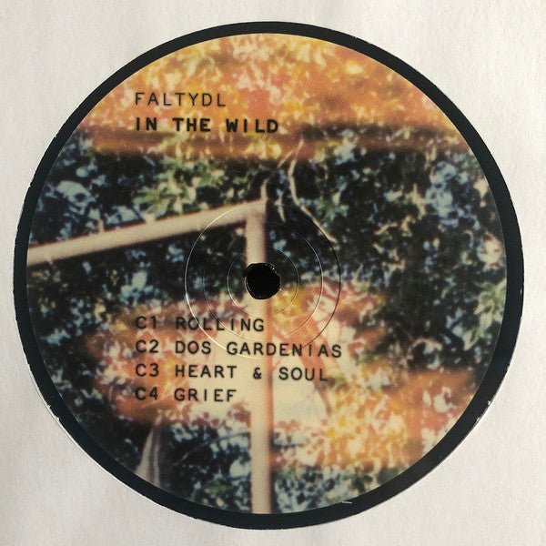 In The Wild | Mint (M) Mint (M) Get Cheap Vinyl