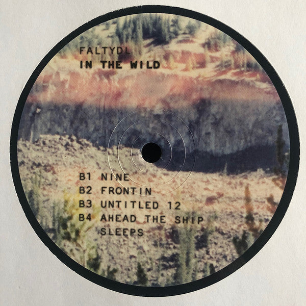 In The Wild | Mint (M) Mint (M) Get Cheap Vinyl