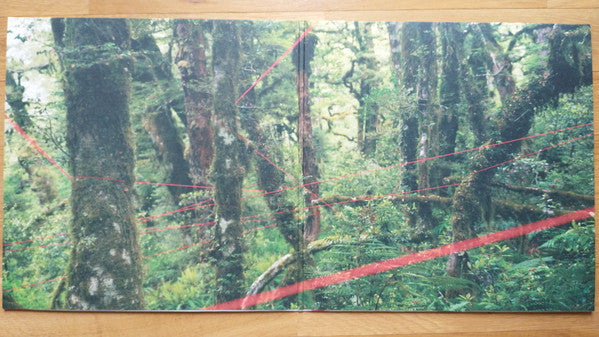 Everything Ecstatic | Mint (M) Get Cheap Vinyl