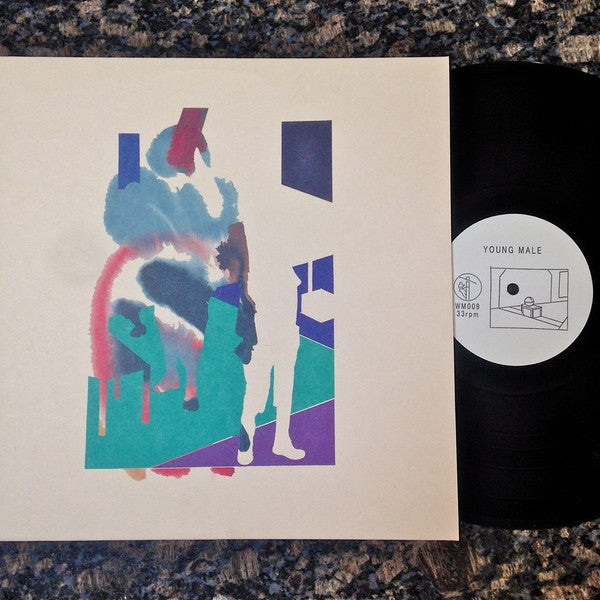How To Disappear In America | Mint (M) Mint (M) Get Cheap Vinyl