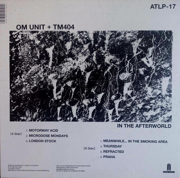 In The Afterworld | Mint (M) Mint (M) Get Cheap Vinyl
