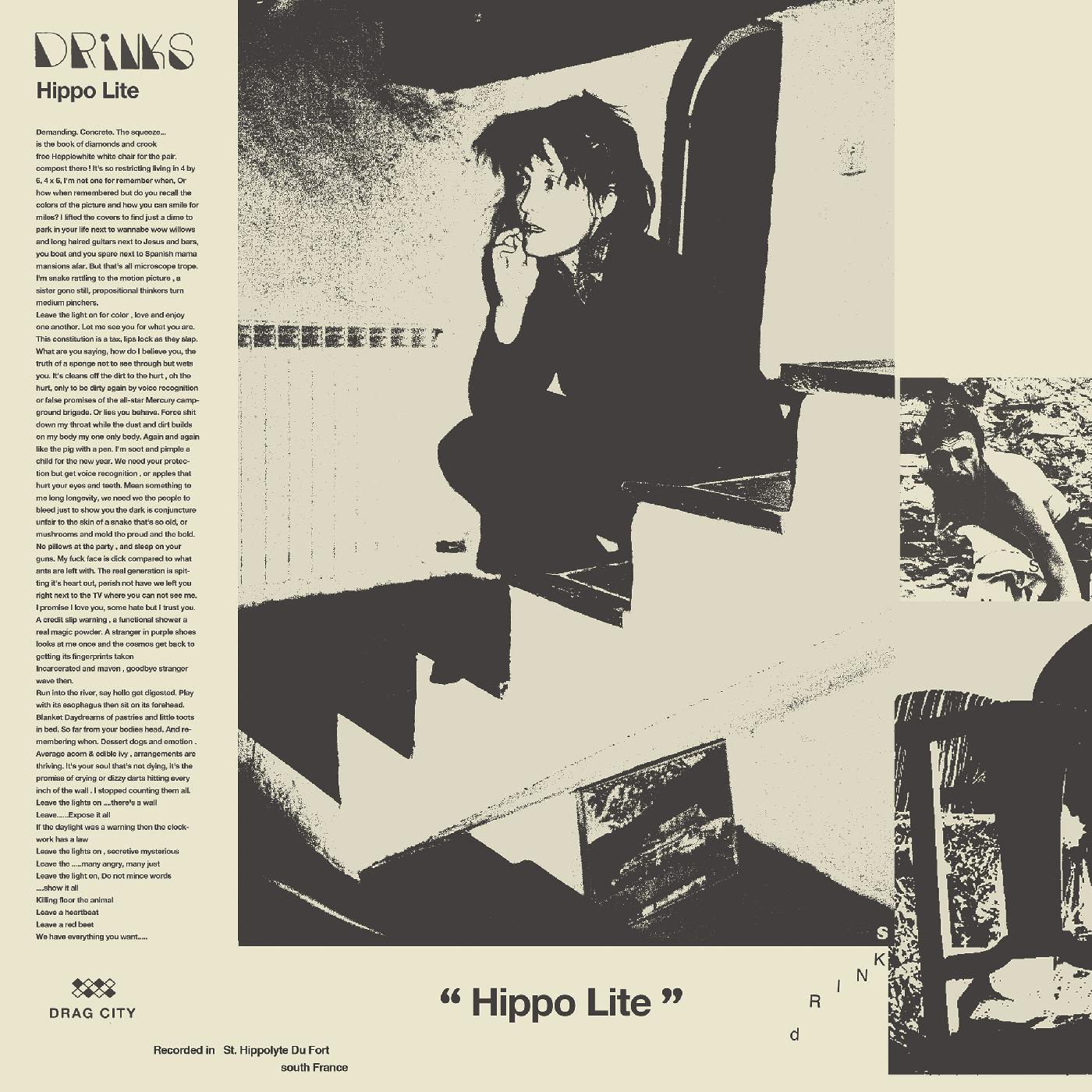 Hippo Lite | Get Cheap Vinyl