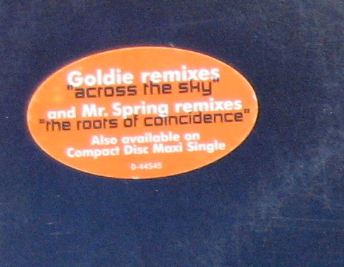 Across The Sky / The Roots Of Coincidence (GOLDIE) | Excellent+ (EX+) Excellent (EX) Get Cheap Vinyl