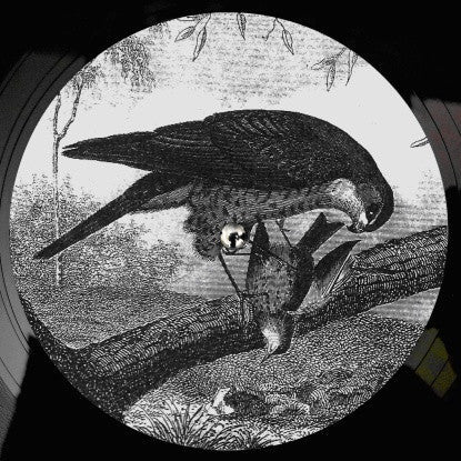 Bird Of Prey | Mint (M) Mint (M) Get Cheap Vinyl